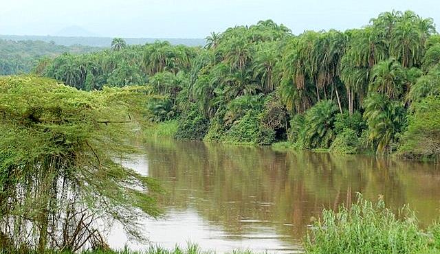 Virunga National Park