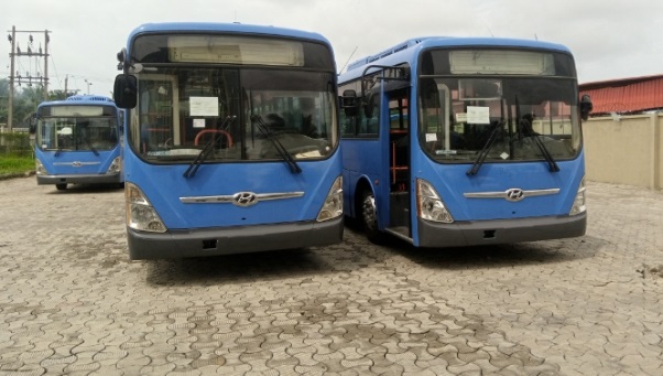 Mass transit buses