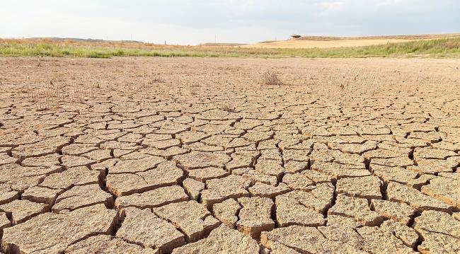 Desertification