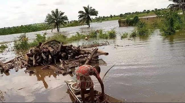 Anambra flood disaster