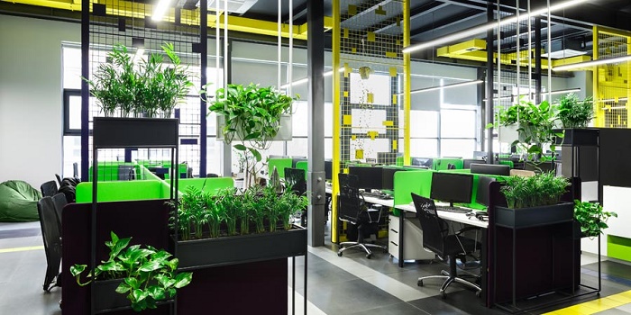 Eco-friendly office space