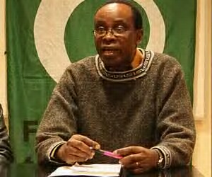 Nnimmo Bassey, Chairman of ERA