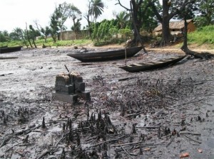 Land degradation from oil spill in Ogoniland, Nigeria
