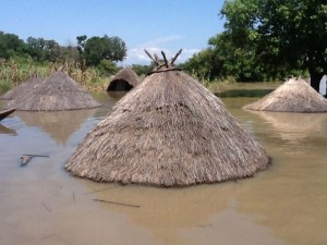 Taraba