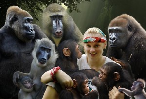 Primates