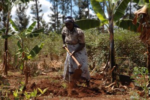 Farmer