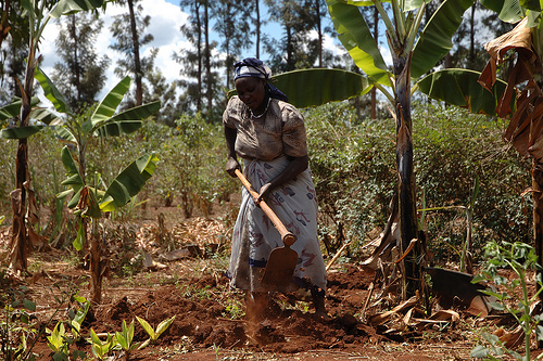 Female farmer