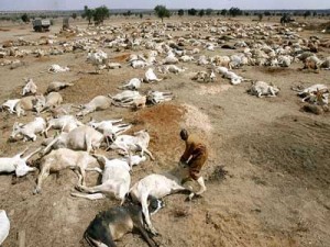 Drought