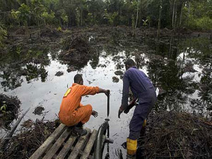 Oil pollution in the Niger Delta has largely contributed to the destruction of the area's biodiversity. Photo credit: longbaby.com