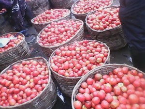A basket of tomatoes at Mile 12 market in Lagos sells for $80