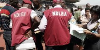 NDLEA warns security officers against illicit drugs consumption