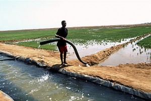 Irrigation in Eritrea. Photo: Courtesy www.treehugger.com