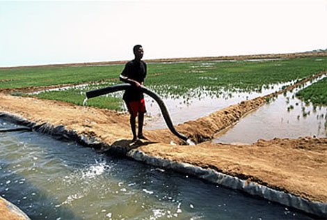 eritrea-irrigation