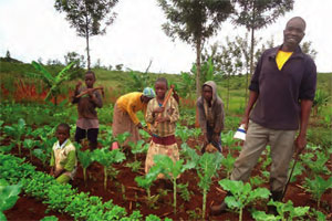 Family farmers in Kenya