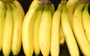GM banana. Photo credit: radioaustralia.net.au