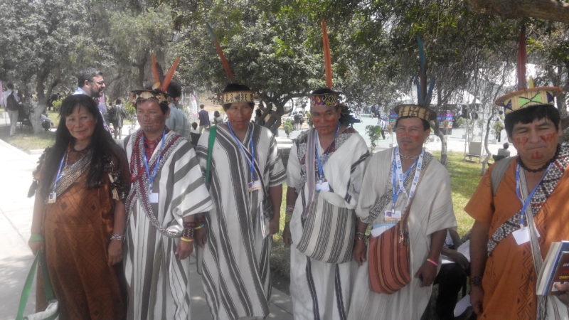 Peruvian amazonian indigenous people