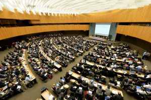 A plenary in Geneva. Photo credit: newsroom.unfccc.int