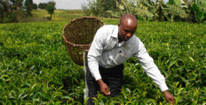 Fred Kihara of The Nature Conservancy. Photo credit: www.nature.org