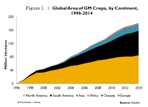 GM_crops