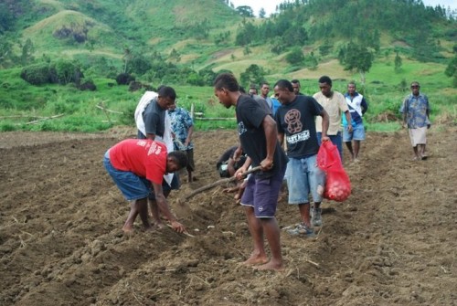 Youths involved in farming. Photo credit: smeonline.biz