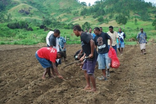 farming-can-be-fun