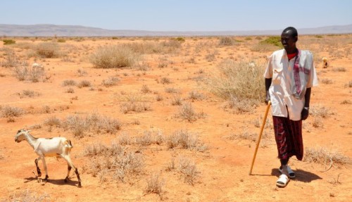 Drought in sub-Saharan Africa