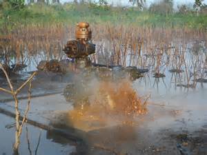 Oil pollution in the Niger Delta area. Photo credit: greengrants.org