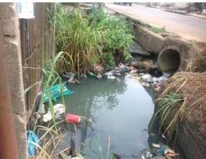 So many people are still in the habit of throwing waste on the road and in gutters; they litter the environment, causing blockages and stagnant water in drainages and gutters, and creating conducive breeding grounds for mosquitos