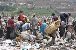 Scavengers at work. Photo credit: environment-today.org