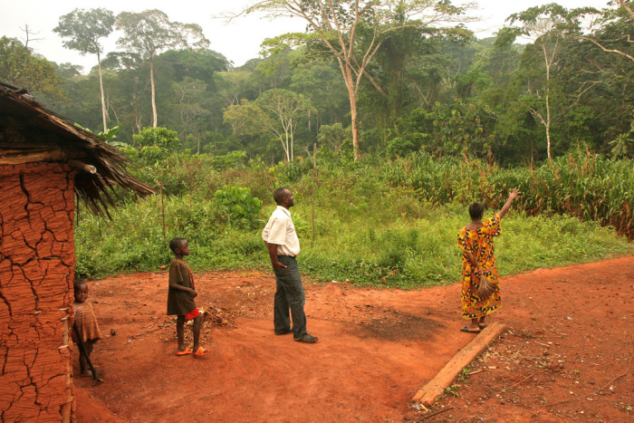 Forest-based communities in Cameroon have limited or no recognition of their customary land rights under Cameroon law. Photo credit: farm8.static.flickr.com