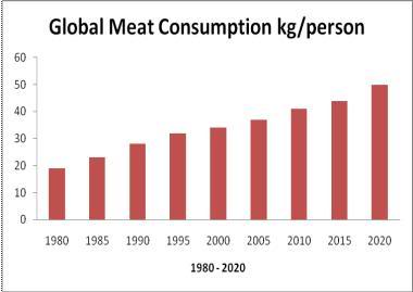 Global meat production has more than quadrupled in the last half century to over 308 million tons in 2013, bringing with it considerable environmental and health costs due to its large-scale draw on water, feedgrains, antibiotics, and grazing land