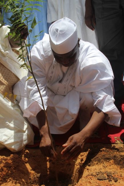 Governor Aminu Waziri Tambuwal of Sokoto State plants a tree to battle desertification