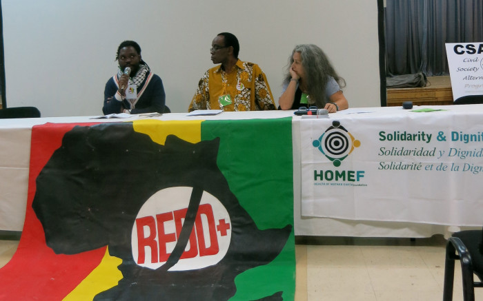 Delivering the No-REDD+ Declaration by the No REDD in Africa Network at the World Forestry Congress held in Durban, South Africa