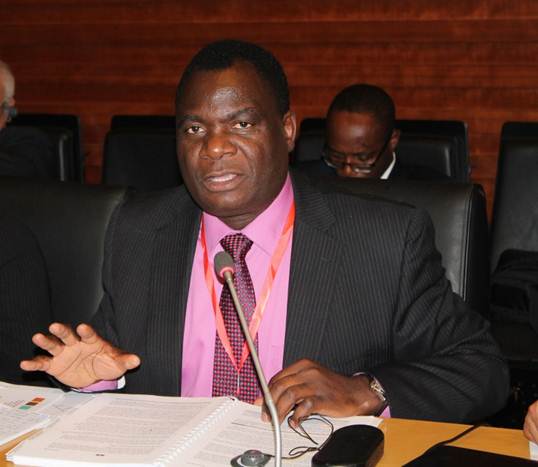 Professor Aggrey Ambali, head and advisor of NEPAD Science, Technology and Innovation Hub Photo credit: nepad.org