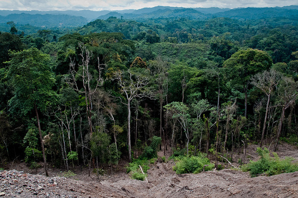 The collaboration hopes to contribute to the implementation of sustainable forest management in both nations as well as the implementation of the CRGE strategy and the National REDD+ strategy in Ethiopia