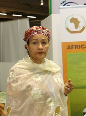 Environment Minister, Mrs Amina J. Mohammed