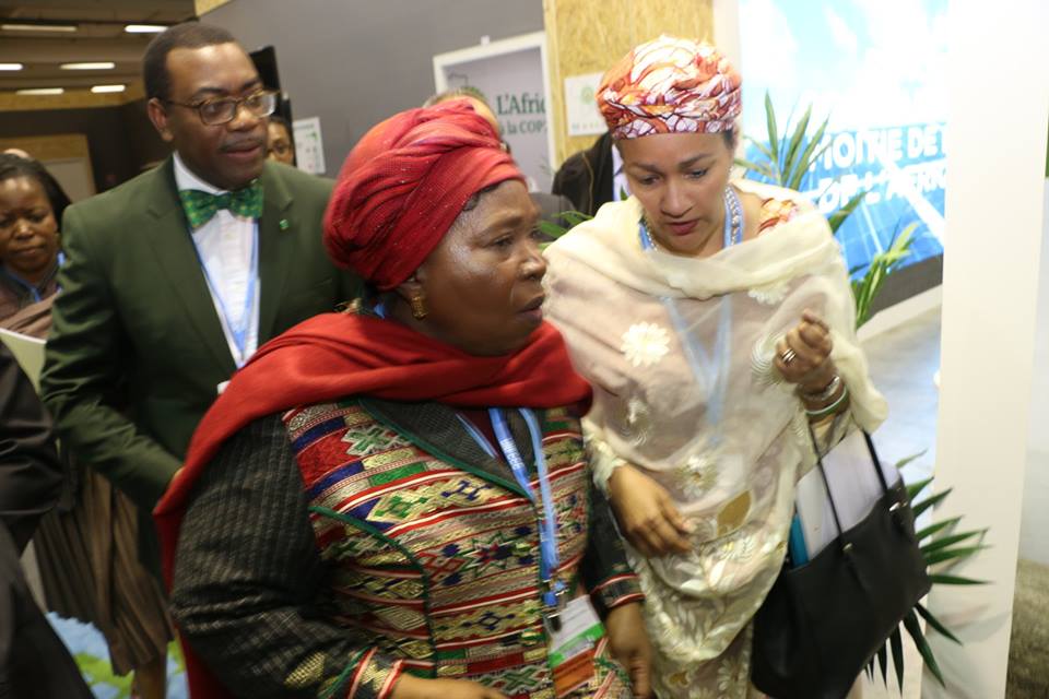 Mrs Mohammed with Dr Akinwumi Adesina of the African Development Bank and another delegate