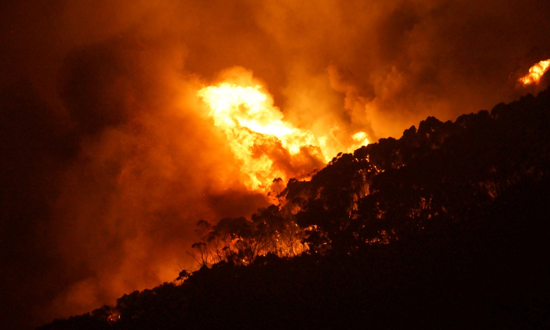 A wildfire burns out of control on Christmas Day in Victoria state, Australia. Photo credit: Keith Pakenham/AFP/Getty Images