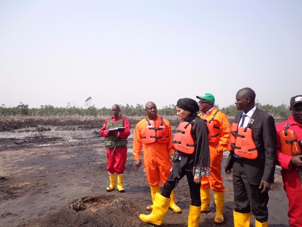 Inspected degraded land in the Niger Delta