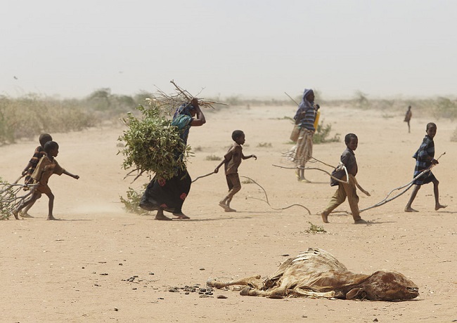 A family fleeing the 2011 drought and famine in Somalia collects firewood outside Dadaab refugee camp
