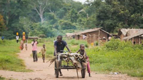 The Paris Agreement and the financial incentives and initiatives it has spurred can help put indigenous and community rights at the heart of forest policies in Congo Basin countries
