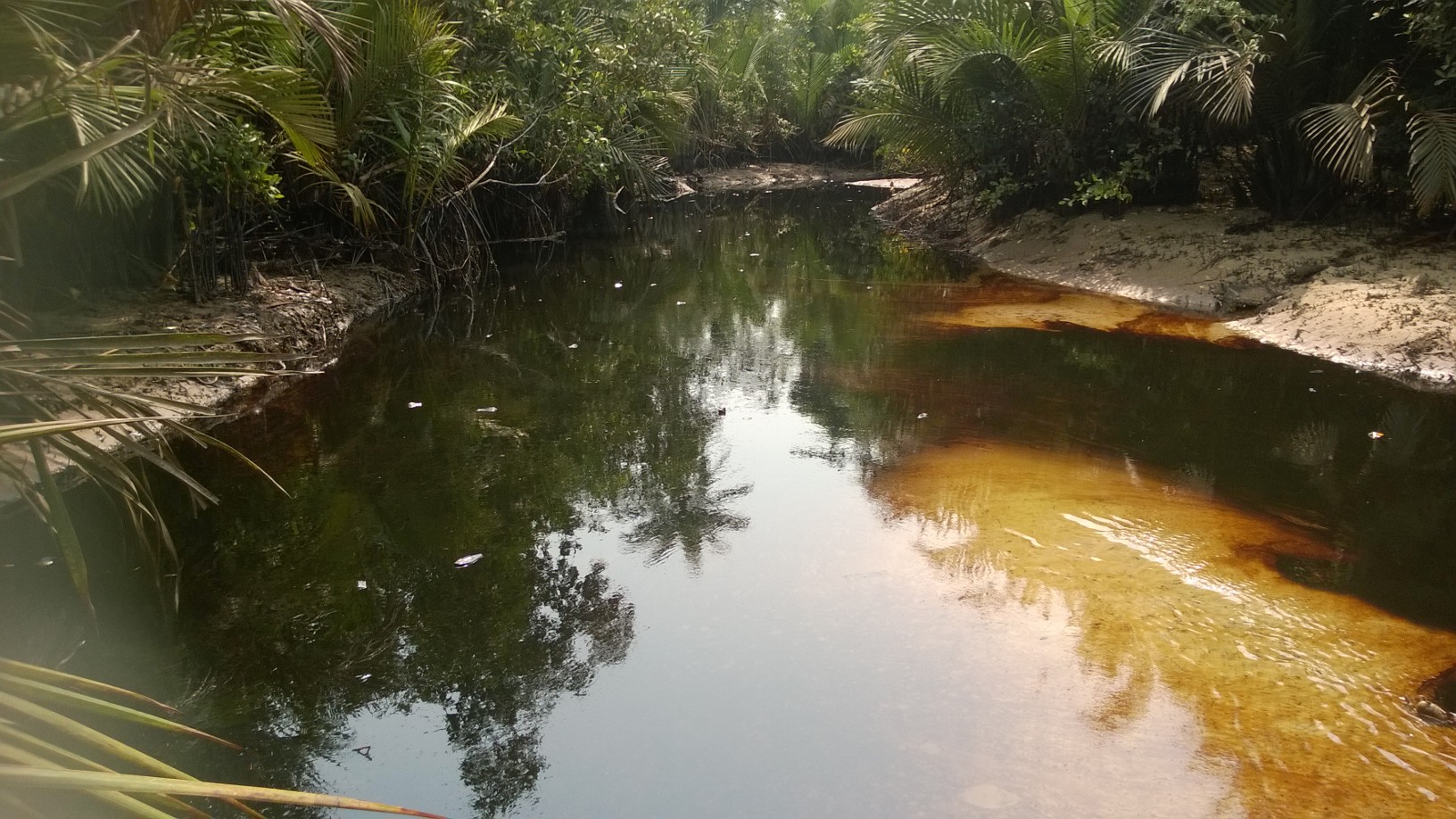 The scale of the pollution