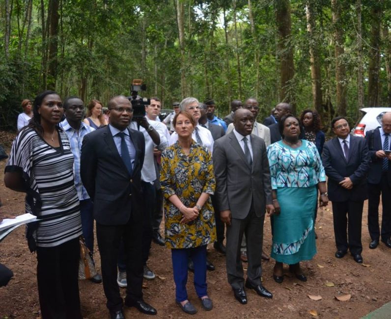 On a tour with government officials