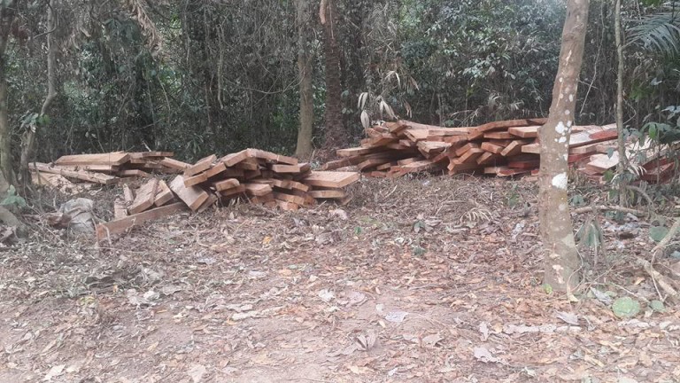 New Ekuri, firm reach truce over logging, sign N15m compensation, restoration pact