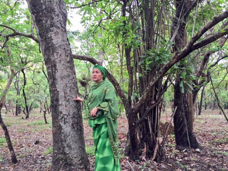 Minister of Environment, Mrs Amina J. Mohammed, in a pensive mood at the National Parks Headquarters in Abuja, on the occasion of the 2016 International Day of Forests, on Monday March 21