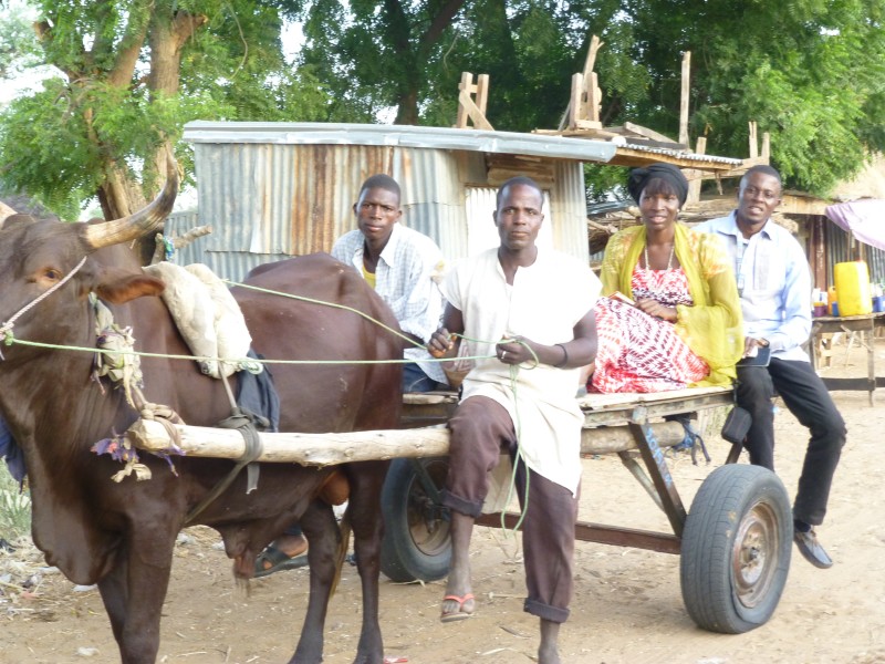 Augustina Ogbonna-Armstrong and Innocent Onoh (right) on a field work