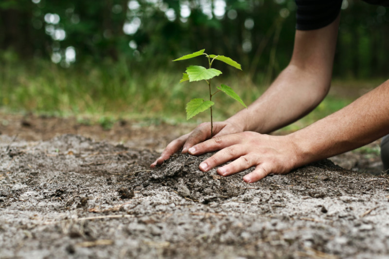 Tree-Planter