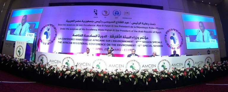 AMCEN: Africa’s natural reserves, climate pact top agenda