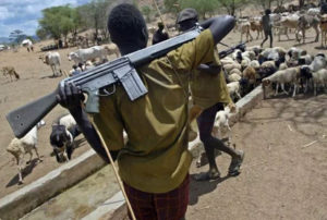 Armed Fulani herdsmen: A probable climate-linked impact is the prevalent invasion of these herdsmen in the South.