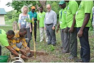 David Ladipo planting a mahogany seedling in IITA arboretum with Deni Bown and Kenton Dashiell the Deputy Director General of IITA looking on